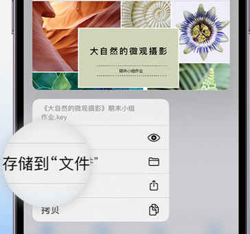 三江apple维修中心分享iPhone文件应用中存储和找到下载文件