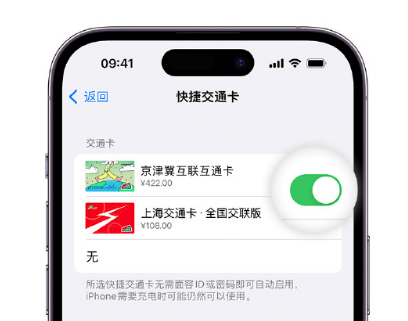 三江apple维修点分享iPhone上更换Apple Pay快捷交通卡手绘卡面 