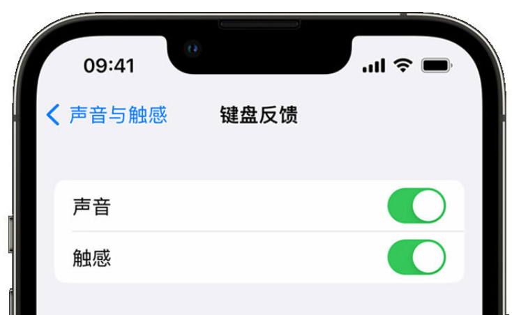 三江苹果手机维修分享iPhone 14触感键盘使用方法 