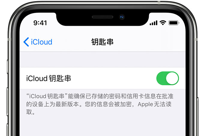 三江苹果手机维修分享在 iPhone 上开启 iCloud 钥匙串之后会储存哪些信息 